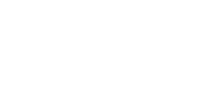 NIRSM logo