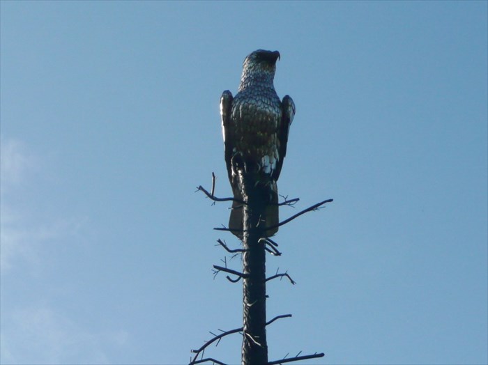 Close-up of an eagle sculpture perched at the top of a tall, bare tree against a clear blue sky.
